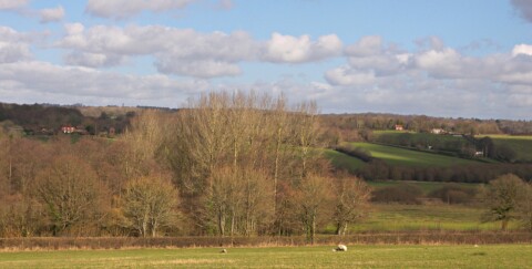 photo of a rural view