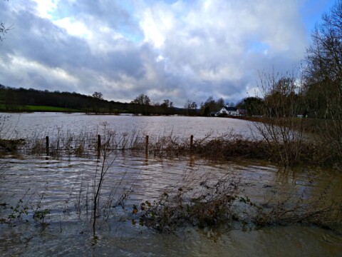 photo of flooded fields